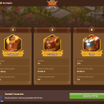 Program VIP